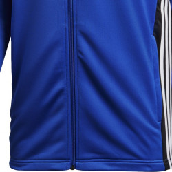 Trening Adidas Regista 18 pentru barbati