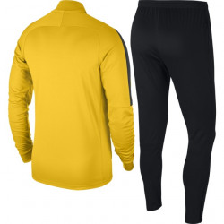 Trening Nike Academy 18 pentru barbati