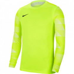 Bluza portar Nike Dry Park IV pentru barbati