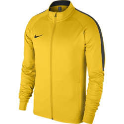 Trening Nike Academy 18 pentru barbati