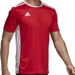 Tricou Adidas Entrada 18 pentru barbati