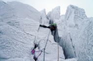 Bocanci BOREAL STETIND