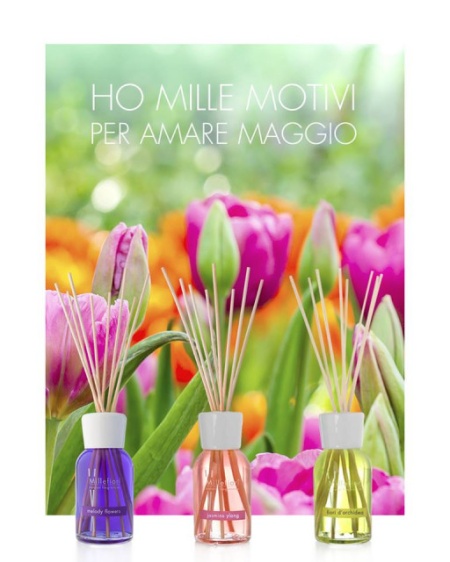 Odorizant de camera cu betisoare din bambus diverse arome Gama Naturals