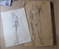 Studii