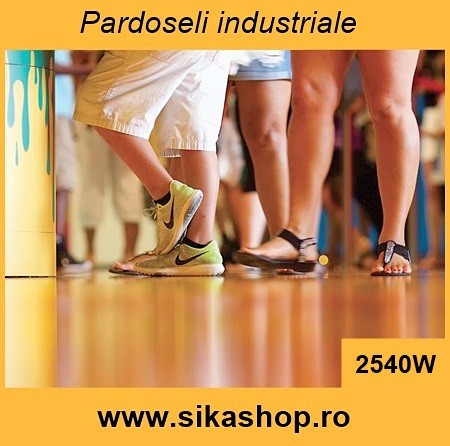 Sikafloor 2540 W 6 kg RAL 7035 gri pentru garaj