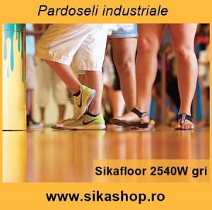 Vopsea epoxidica pentru garaje Sikafloor 2540 W 18 kg RAL 7035 gri