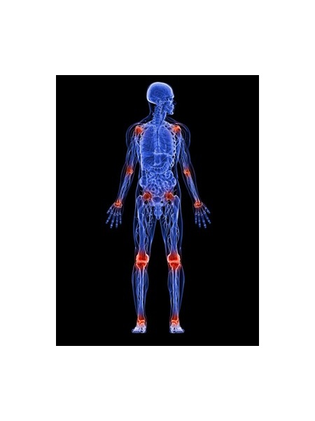 MenaQ7 MK-7 Vitamina K2 Menachinona-7 100 mcg cu Ascorbyl Palmitate 60 Vcaps Osteoporoza, Artrita Reumatoida, Scleroza Multipla, Parkinson