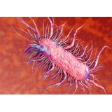 Best D-Mannose Forte, D-manoza Pura 1400 mg Infectie Urinara, Ecoli, Cistita Mai Bun Decat Swanson SW