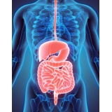 Epic Pro 25 tulpini Probiotice si Prebiotice FOS 30 de Miliarde pentru Imunitatea Tractului Digestiv Helicobacter EpicPro