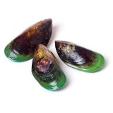 Scoica cu Cochilie Verde Noua Zeelanda Complex Lipidic Marin Forte GLM Premium 60 capsule Miracolul din Mare
