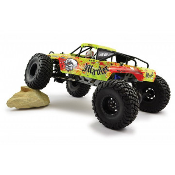 Automodel rock crawler FTX Mauler FTX5575R