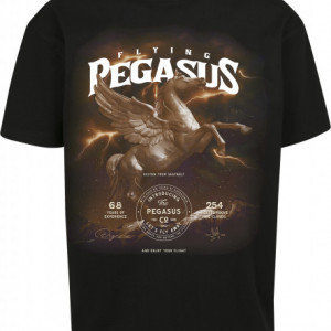 Pegasus Oversize Tee