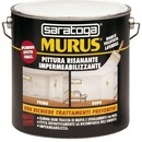 Vopsea de tratare si impermeabilizare MURUS - 12L