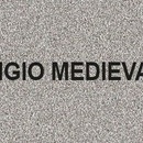 Vopsea gel FERNOVUS metalizata - 750ml - culoare gri medieval