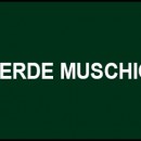 Vopsea spray "HAPPY COLOR" acrilic VERDE MUSCHI RAL 6005 MAT 400ml