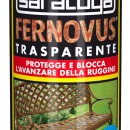 Spray vopsea gel FERNOVUS lucioasa - 400 ml - transparent mat