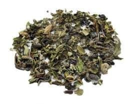 Moroccan Mint