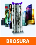 CATALOAGE