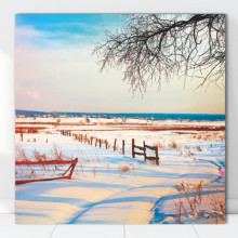 Tablou Canvas Peisaj de Iarna BPC31