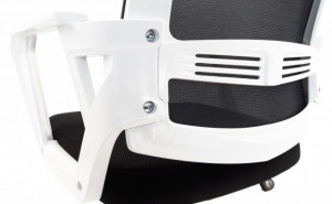 scaun blanca