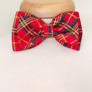 Papion baieti Christmas Gift
