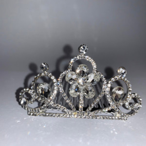 Tiara Princess mare