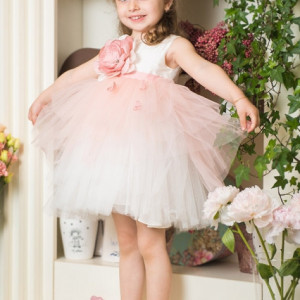 Rochie eleganta Rose