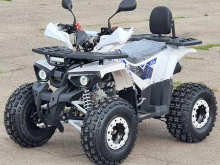 ATV 125cc PRO Hunter XL Jante 8'' cutie DN+R Automat