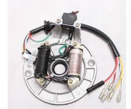 Stator cu 2 Bobine MOTO 125cc