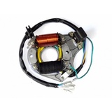Stator cu 2 Bobine ATV 110/125cc