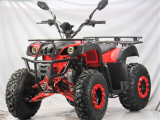 ATV BEMI R10 Mantis 200cc CVT Full Automatic 2023