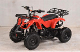 mini ATV bemi Hummer 60 cc in 4 Timpi pornire buton !