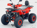 ATV 125cc PRO Hunter XL Jante 8'' cutie DN+R Automat