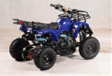 mini ATV bemi Hummer 60 cc in 4 Timpi pornire buton !