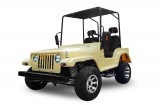Buggy 200cc JP Automatik CVT Off-Road