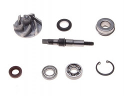 Kit reparatie pompa apa ATV 250cc