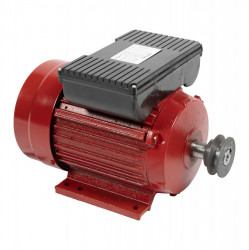 Motor electric monofazat 2.5 KW 3000 RPM (carcasa din fonta)