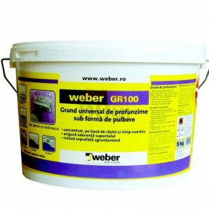 Weber GR100