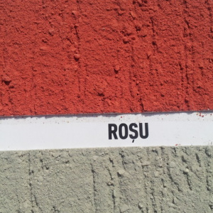 Danke! Textur Silikon Rosu