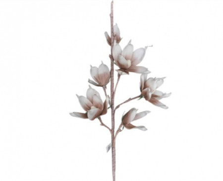 Creanga magnolie flori alb-maro H90cm