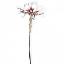 Floare decorativa Echeveria lila-alb , L90 cm