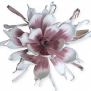 Floare decorativa Echeveria lila-alb , H100 cm