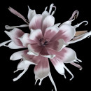 Floare decorativa Echeveria lila-alb , H100 cm