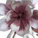 Floare decorativa Echeveria lila-alb , H100 cm