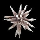 Floare decorativa , Dahlia maron-taupe ,L90cm