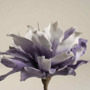 Floare decorativa Echeveria , lila -alb L80cm,foam