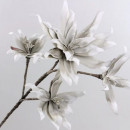 Floare decorativa ,creanga magnolie cu 5 flori alb-gri, L90cm