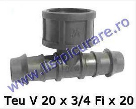 Te V20 x 3/4 Fi x 20