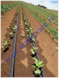 Banda picurare L= 200m, pas 20cm