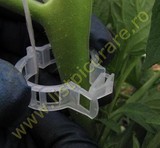 Clips prindere tomate